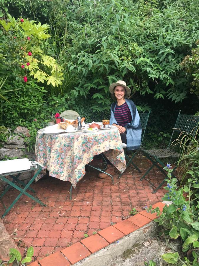 1920'S House. Private En Suite Sitting Room . Dog Friendly Teignmouth Eksteriør billede